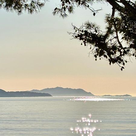 Lavande Centre Ancien Port Plages By Laconciergerie13 Λα Σιοτά Εξωτερικό φωτογραφία