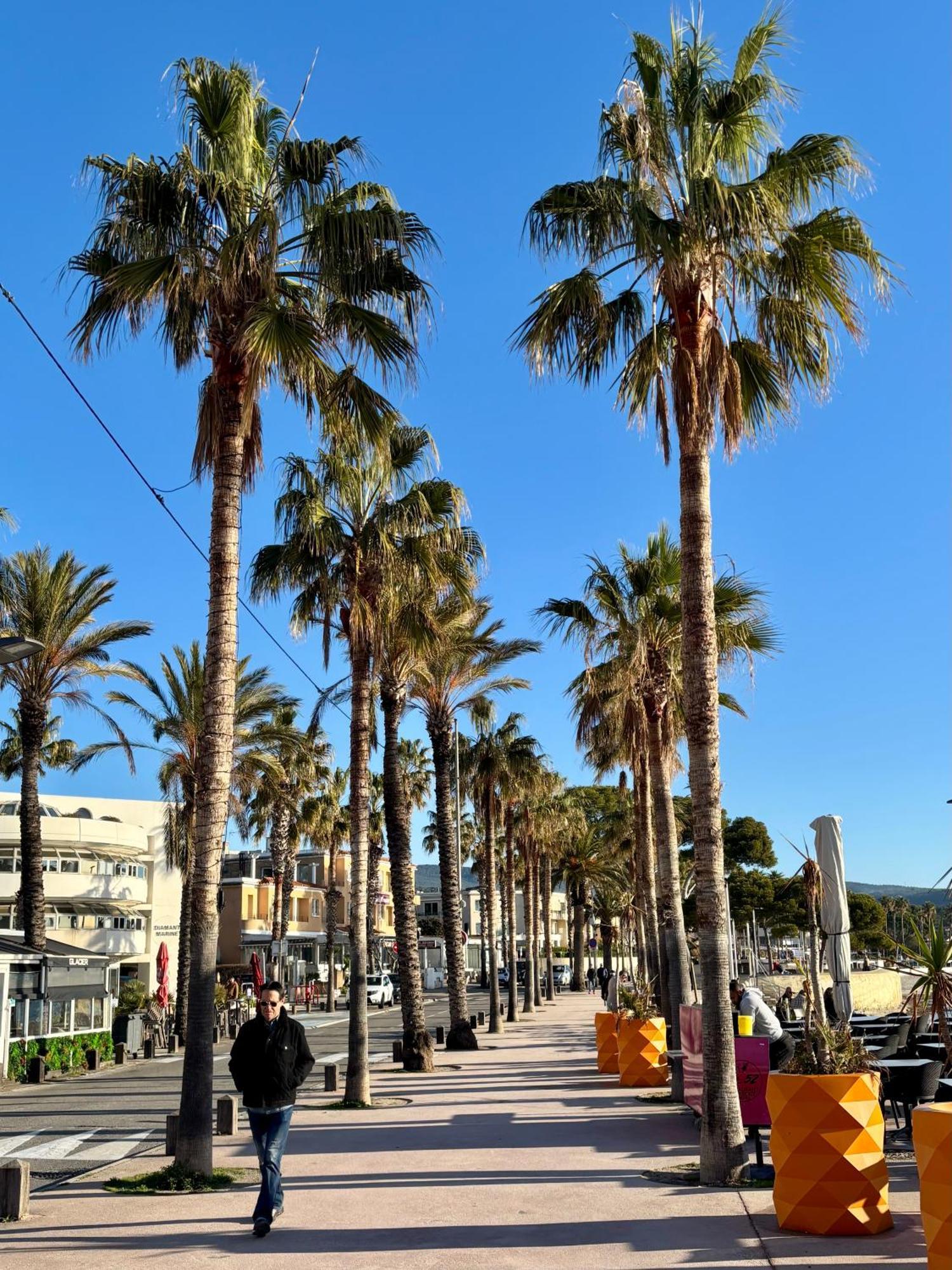 Lavande Centre Ancien Port Plages By Laconciergerie13 Λα Σιοτά Εξωτερικό φωτογραφία
