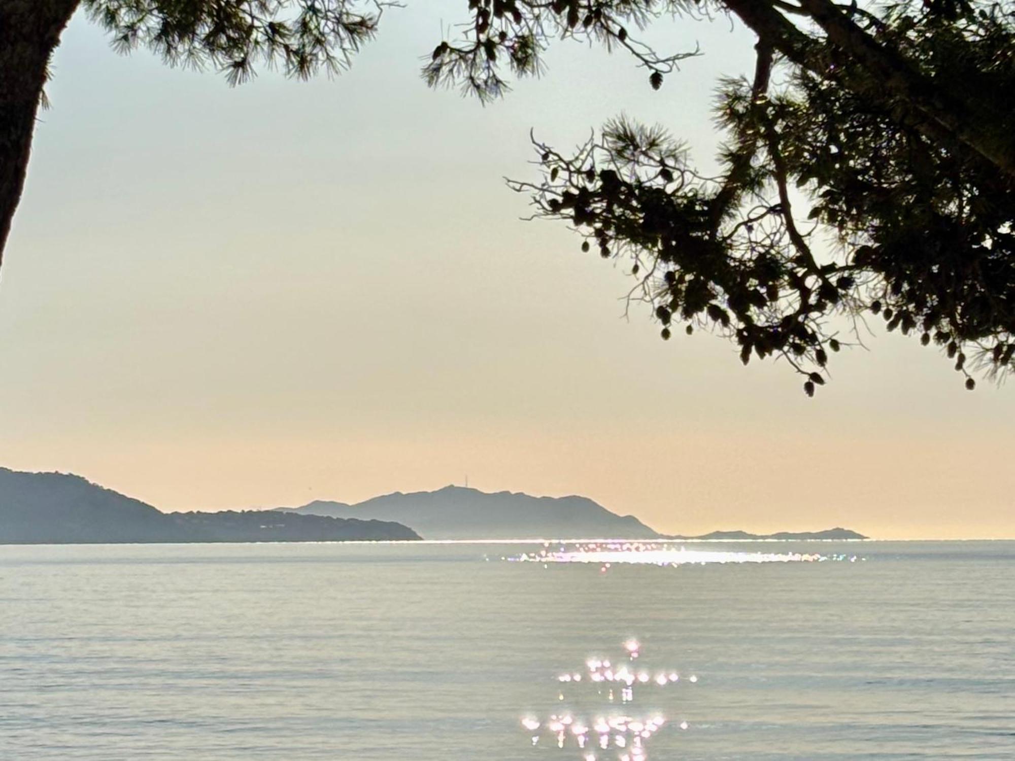 Lavande Centre Ancien Port Plages By Laconciergerie13 Λα Σιοτά Εξωτερικό φωτογραφία